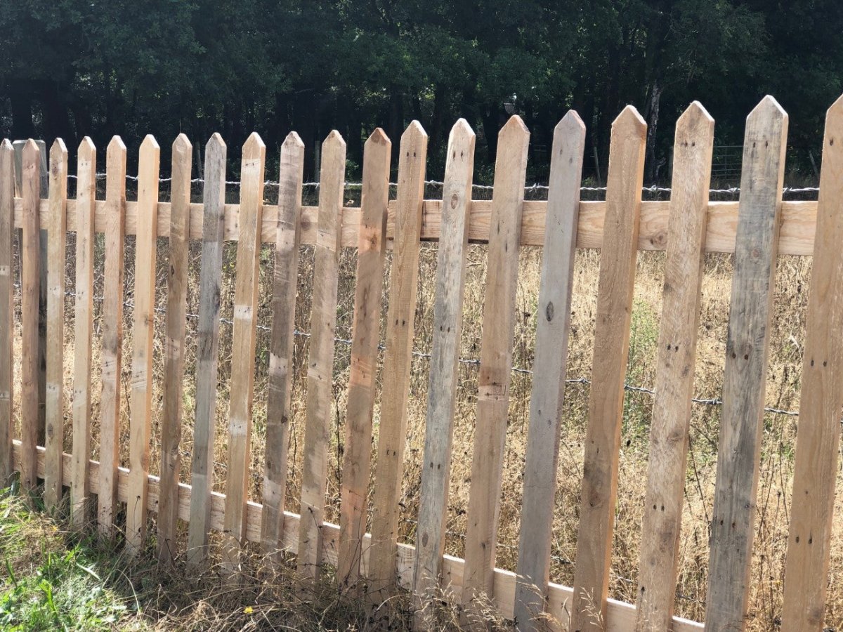 Natural Pointed Top Picket Fence Panel - WoodCladding.co.uk