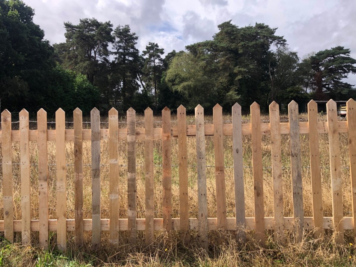 Natural Pointed Top Picket Fence Panel - WoodCladding.co.uk