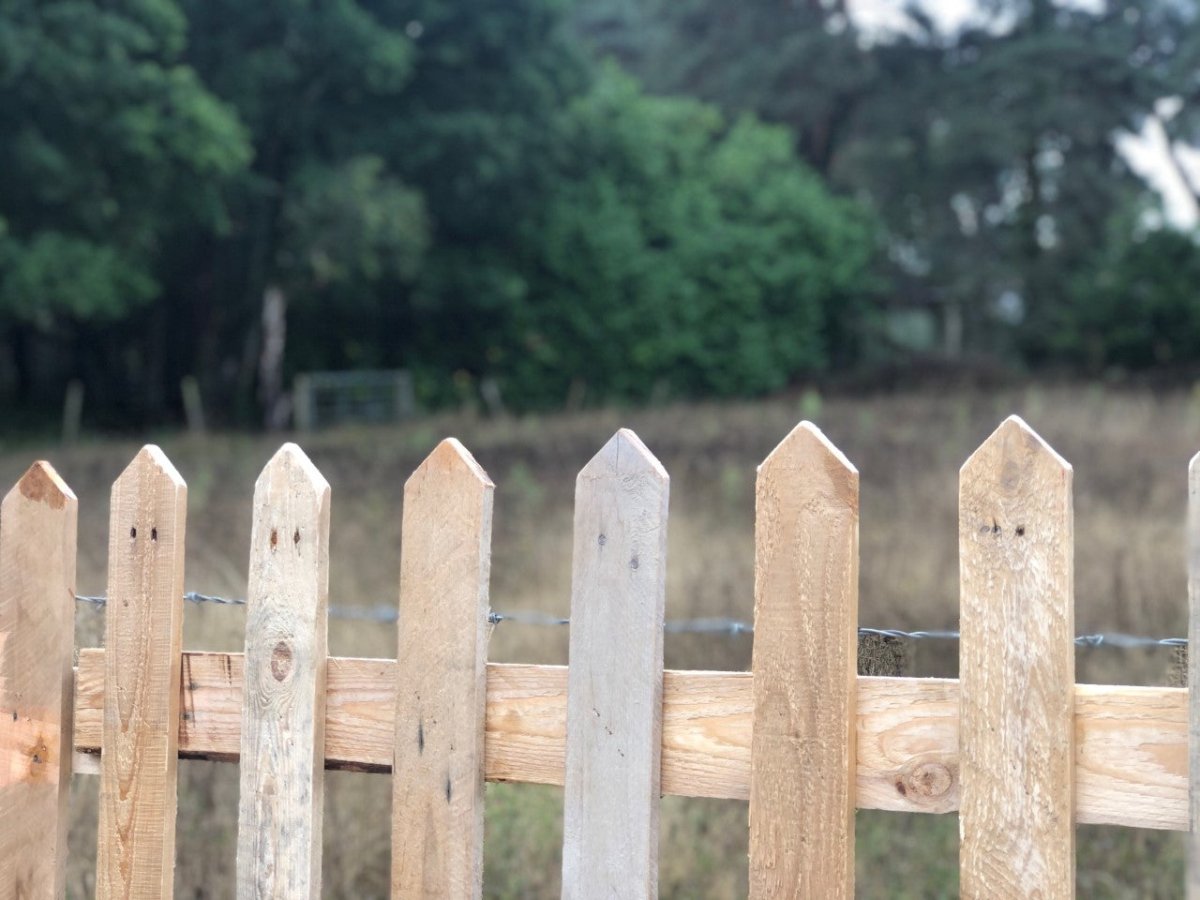 Natural Pointed Top Picket Fence Panel - WoodCladding.co.uk