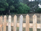 Natural Pointed Top Picket Fence Panel - WoodCladding.co.uk
