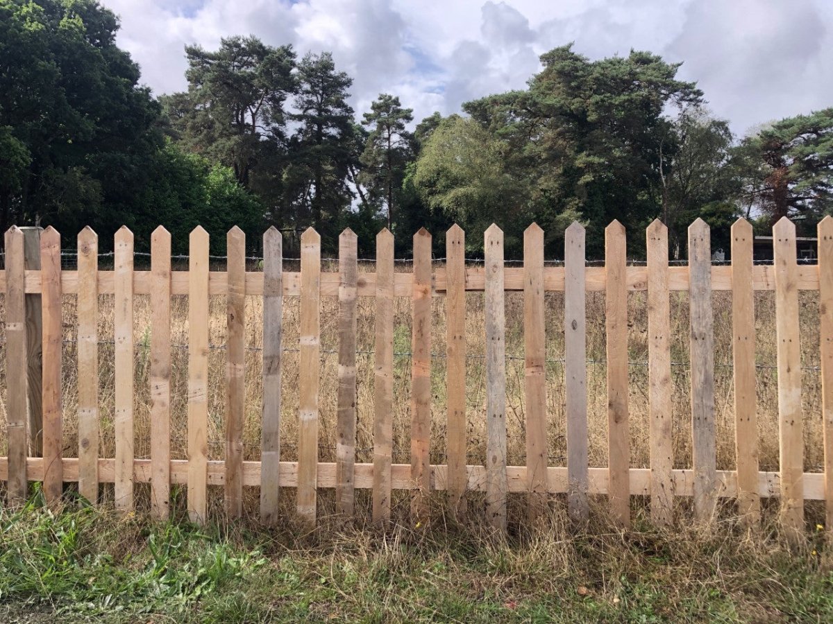 Natural Pointed Top Picket Fence Panel - WoodCladding.co.uk